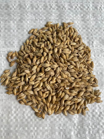 Sugar Creek Malting Company Chit Malt 1.8 L