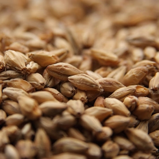Weyermann® Munich Malt Type 1 5-7L
