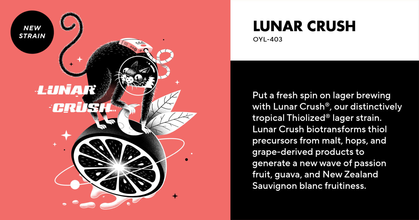 Omega Yeast Labs OYL-403 Lunar Crush